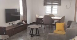 Serviced Apartment
